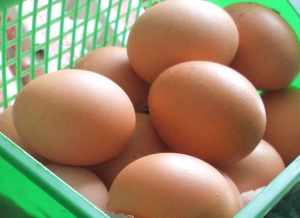 Aussie egg exporters seal the deal with Korea 