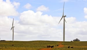 WA&rsquo;s first co-located solar farm powers ahead 