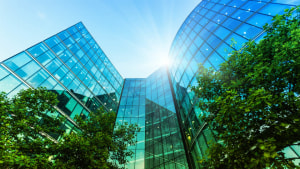 Air purification partnership 