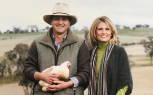 The chickens and the bees 