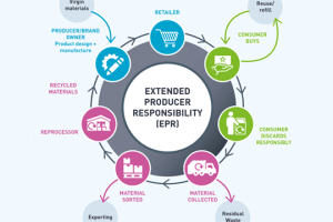 A lesson in EPR from WPO 
