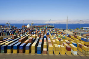 Agrifood sector at centre of new Trade Diversification Network