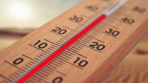 Erratic temperatures deadly
