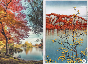 How to match colours and tones from paintings in your photography