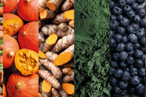 Navigating colour in the modern F&B market