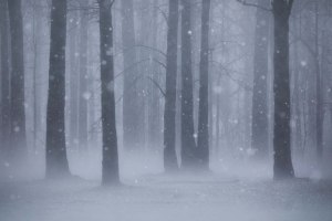 Behind the lens: Extinguished