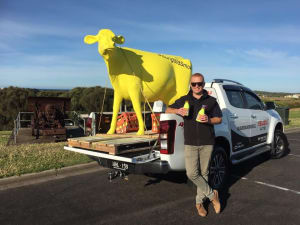 Sungold milk turns bottles fluoro for tradies