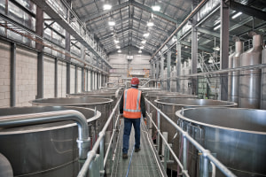 TWE profit downgrade, Penfolds demerger on track