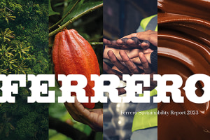 Ferrero demonstrates solid progress to meet targets