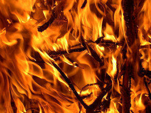 FIRE LEAVES LES BADDOCK IN WAIT AND SEE MODE