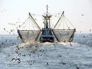 Exceptional design makes this system catch of the day