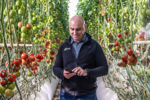 A B2B marketplace solution for excess produce 