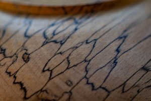 How to 'spalt' your own wood