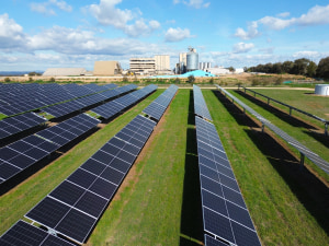 Riverina Oils plant gets solar upgrade