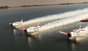 FRIDAY FLYING VIDEO: The Flying Lions