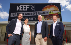 New CEO for F&euml;nn after capital raise