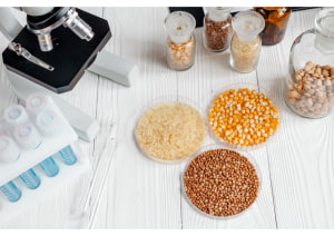 Navigating food fraud