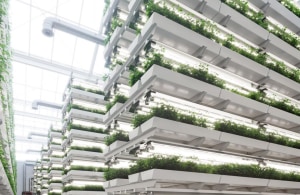 Five key areas of future food systems you need to know
