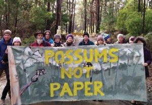 VICFORESTS COURT RULING MAY HIT PAPER