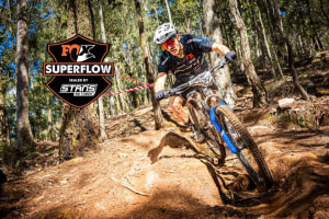 Rocky Trail branches into Sunshine State