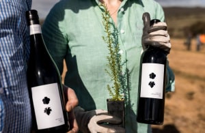 Buy a bottle, plant some bushland