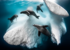 Siena International Photo Awards 2020 - Winners Announced