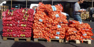 Push to increase veggie exports by 40%