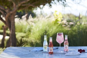 Fever-Tree expands natural soda range
