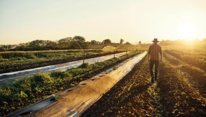 Sustainable consumption: the impact of changing consumer drivers on food manufacturers