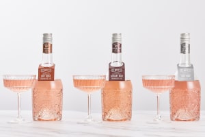 Fourth Wave Wines launches specialist Ros&eacute; brand