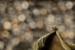 What can you do with just one flash? (Part one)