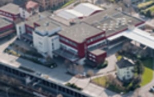 Gallus sale off as buyer fails to purchase