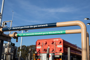 Hydrogen on gas network 