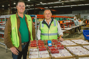Track and trace delivers for Pi&ntilde;ata Farms