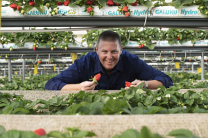 Australian Fresh Produce Alliance elects new chair
