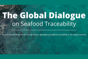 GDST launches updated Australian seafood standard