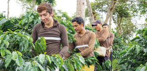 Nestl&eacute; to transition to regenerative food system