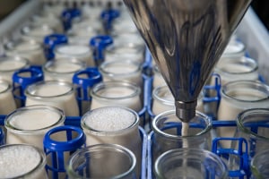The state and future of the dairy sector
