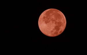 Where to see tonight's super blood moon across Australia