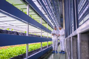 F&B low on global sustainability index 
