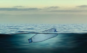 PKN Magazine: Changes in beverage packaging