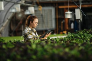 CSIRO continues to support SMEs with free program