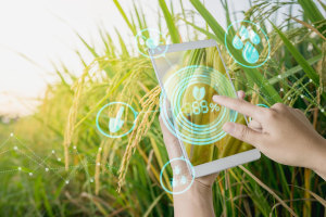 Govt funding round grants $4m for traceability projects