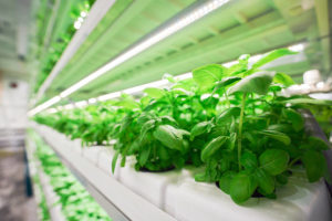 Food in space: La Trobe Uni, Gaia Project on a mission