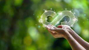 RaboBank report: Sustainable practices can be cost effective