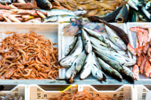 Research finds seafood industry more resilient to food shocks