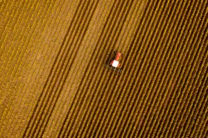 DAFF prioritises traceability with new grant program