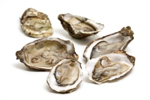 Nationwide recall for Coffin Bay oysters