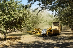 Future Foods launches program for food waste solutions
