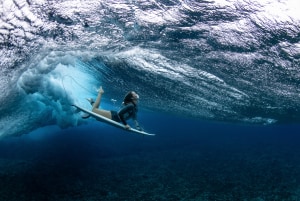 Australian photographers go for gold in World Sports Photography Awards